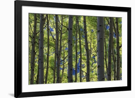 Stand of Majesty-Michael Greene-Framed Giclee Print