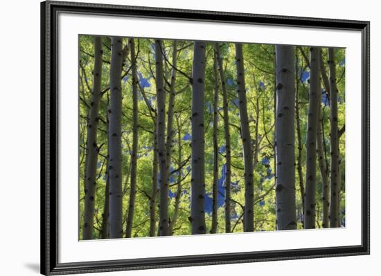 Stand of Majesty-Michael Greene-Framed Giclee Print