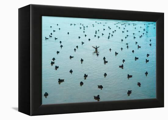 Stand out from the crowd!-Mark A Johnson-Framed Premier Image Canvas