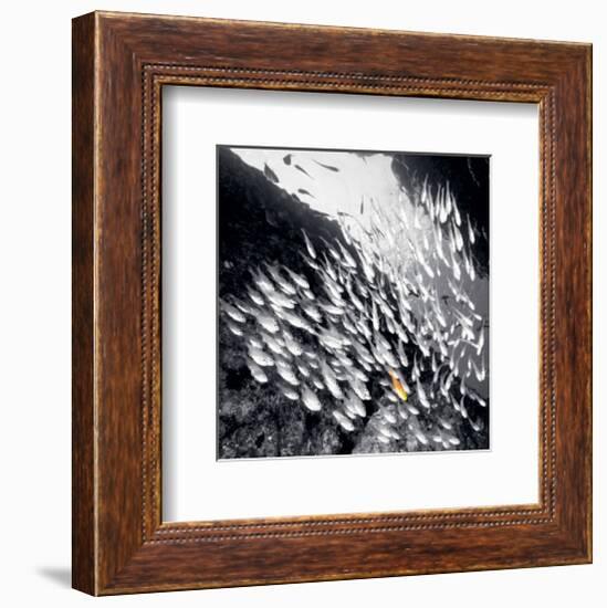 Stand Out-null-Framed Art Print