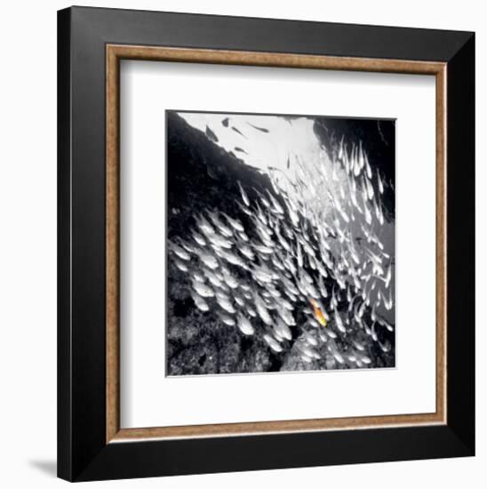 Stand Out-null-Framed Art Print