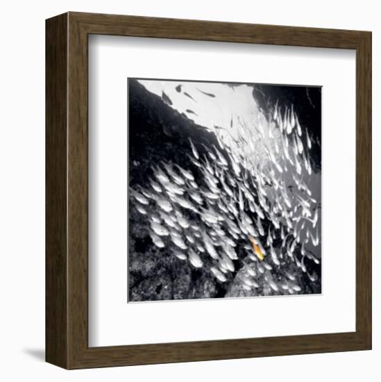 Stand Out-null-Framed Art Print