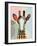 Stand Tall Giraffe-Lanre Adefioye-Framed Giclee Print