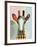 Stand Tall Giraffe-Lanre Adefioye-Framed Giclee Print