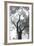 Stand Tall II-Elizabeth Urquhart-Framed Photo