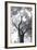 Stand Tall II-Elizabeth Urquhart-Framed Photo