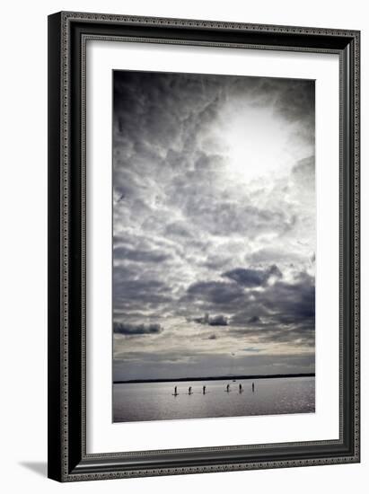 Stand-Up Paddle Boarders on Strangford Lough, Near Grey Abbey, County Down, Northern Irekand-null-Framed Photographic Print