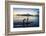 Stand up paddlers working out at sunset with Moorea in the background, Papeete, Tahiti, Society Isl-Michael Runkel-Framed Photographic Print