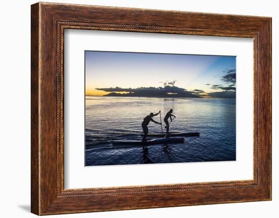 Stand up paddlers working out at sunset with Moorea in the background, Papeete, Tahiti, Society Isl-Michael Runkel-Framed Photographic Print