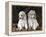 Standard Poodle Dog Puppies, USA-Lynn M. Stone-Framed Premier Image Canvas