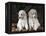 Standard Poodle Dog Puppies, USA-Lynn M. Stone-Framed Premier Image Canvas