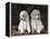 Standard Poodle Dog Puppies, USA-Lynn M. Stone-Framed Premier Image Canvas