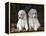 Standard Poodle Dog Puppies, USA-Lynn M. Stone-Framed Premier Image Canvas