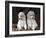 Standard Poodle Dog Puppies, USA-Lynn M. Stone-Framed Photographic Print