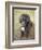 Standard Poodle-Mark Chivers-Framed Photographic Print