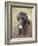 Standard Poodle-Mark Chivers-Framed Photographic Print