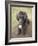 Standard Poodle-Mark Chivers-Framed Photographic Print