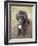 Standard Poodle-Mark Chivers-Framed Photographic Print