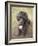 Standard Poodle-Mark Chivers-Framed Photographic Print