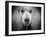 Standard Poodle-Lori Hutchison-Framed Photographic Print