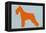 Standard Schnauzer Orange-NaxArt-Framed Stretched Canvas