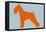 Standard Schnauzer Orange-NaxArt-Framed Stretched Canvas