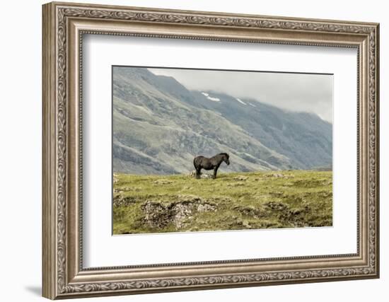 Standing Alone-Danny Head-Framed Photographic Print