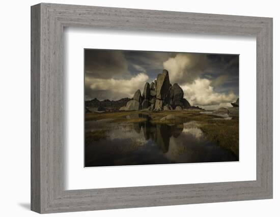 Standing Alone-Yan Zhang-Framed Photographic Print