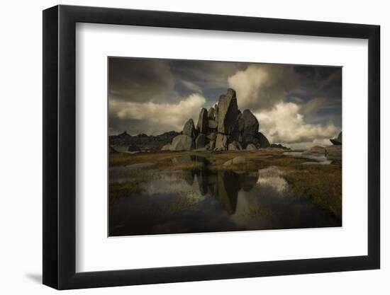 Standing Alone-Yan Zhang-Framed Photographic Print