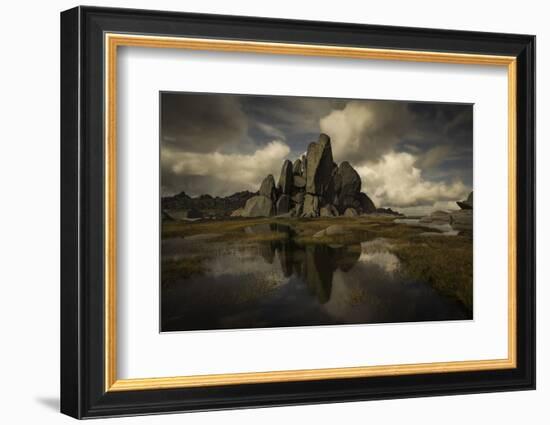 Standing Alone-Yan Zhang-Framed Photographic Print