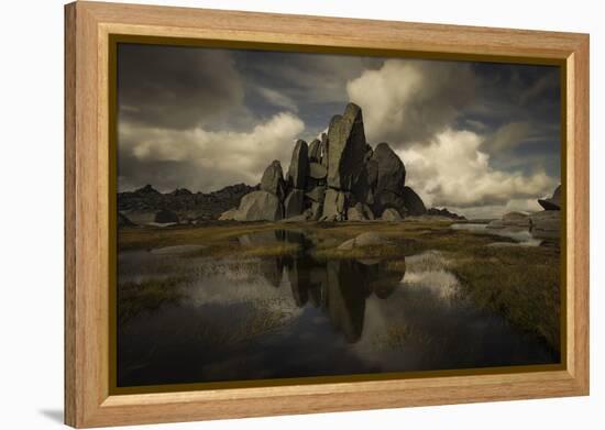 Standing Alone-Yan Zhang-Framed Premier Image Canvas