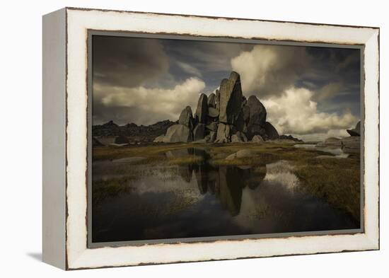 Standing Alone-Yan Zhang-Framed Premier Image Canvas