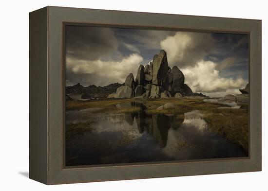 Standing Alone-Yan Zhang-Framed Premier Image Canvas