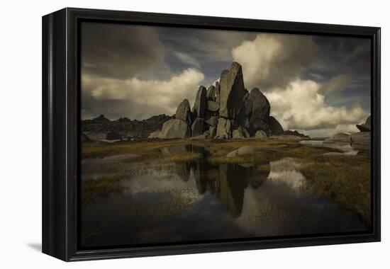 Standing Alone-Yan Zhang-Framed Premier Image Canvas