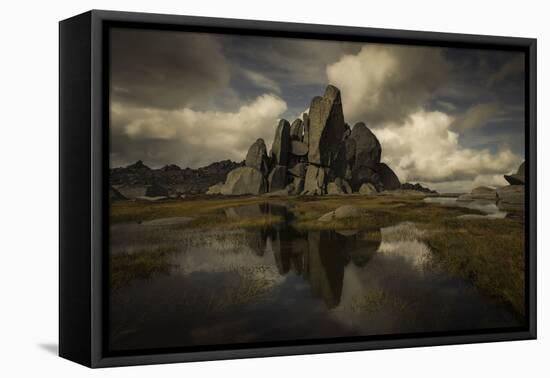 Standing Alone-Yan Zhang-Framed Premier Image Canvas