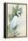 Standing Egret I Crop-Avery Tillmon-Framed Stretched Canvas