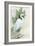 Standing Egret I Crop-Avery Tillmon-Framed Art Print