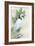 Standing Egret I Crop-Avery Tillmon-Framed Art Print