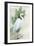 Standing Egret I Crop-Avery Tillmon-Framed Art Print