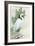 Standing Egret I Crop-Avery Tillmon-Framed Art Print