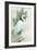 Standing Egret I Crop-Avery Tillmon-Framed Art Print