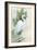 Standing Egret I Crop-Avery Tillmon-Framed Art Print