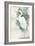 Standing Egret II Crop-Avery Tillmon-Framed Art Print