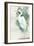 Standing Egret II Crop-Avery Tillmon-Framed Art Print