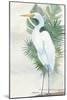 Standing Egret II Crop-Avery Tillmon-Mounted Art Print
