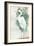 Standing Egret II Crop-Avery Tillmon-Framed Art Print