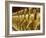 Standing Gold-Colored Buddha Statues at a Buddhist Shrine, Foukuangshan Temple, Taiwan-Steve Satushek-Framed Photographic Print