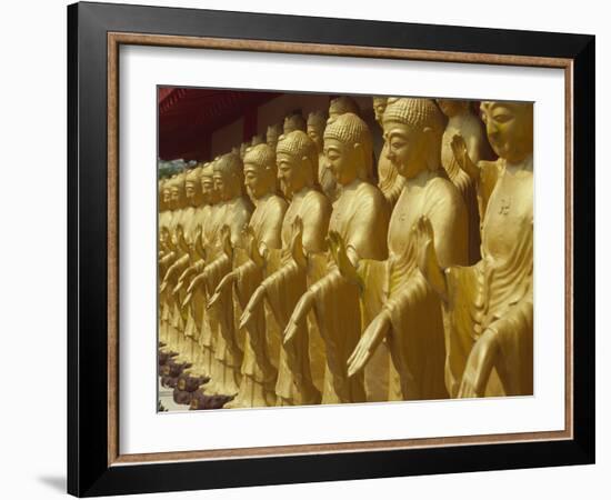 Standing Gold-Colored Buddha Statues at a Buddhist Shrine, Foukuangshan Temple, Taiwan-Steve Satushek-Framed Photographic Print