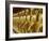 Standing Gold-Colored Buddha Statues at a Buddhist Shrine, Foukuangshan Temple, Taiwan-Steve Satushek-Framed Photographic Print