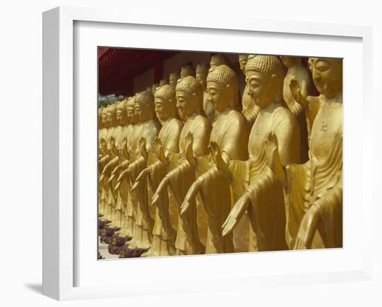 Standing Gold-Colored Buddha Statues at a Buddhist Shrine, Foukuangshan Temple, Taiwan-Steve Satushek-Framed Photographic Print